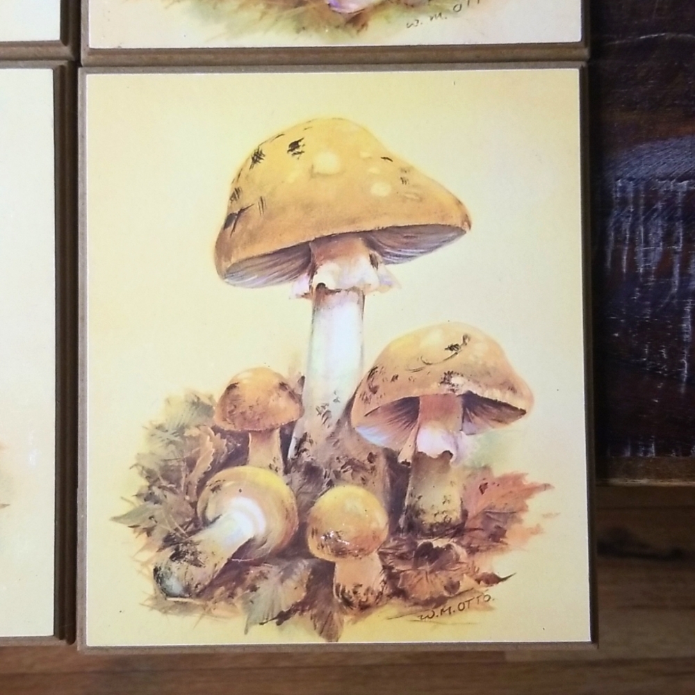 Vintage W.M. Otto MCM 1970's Mushroom Wood Plaques-Set of 4 - Picture 6 of 9